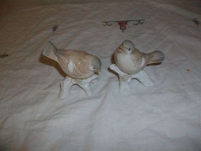 Two lovely birds ornaments on branches